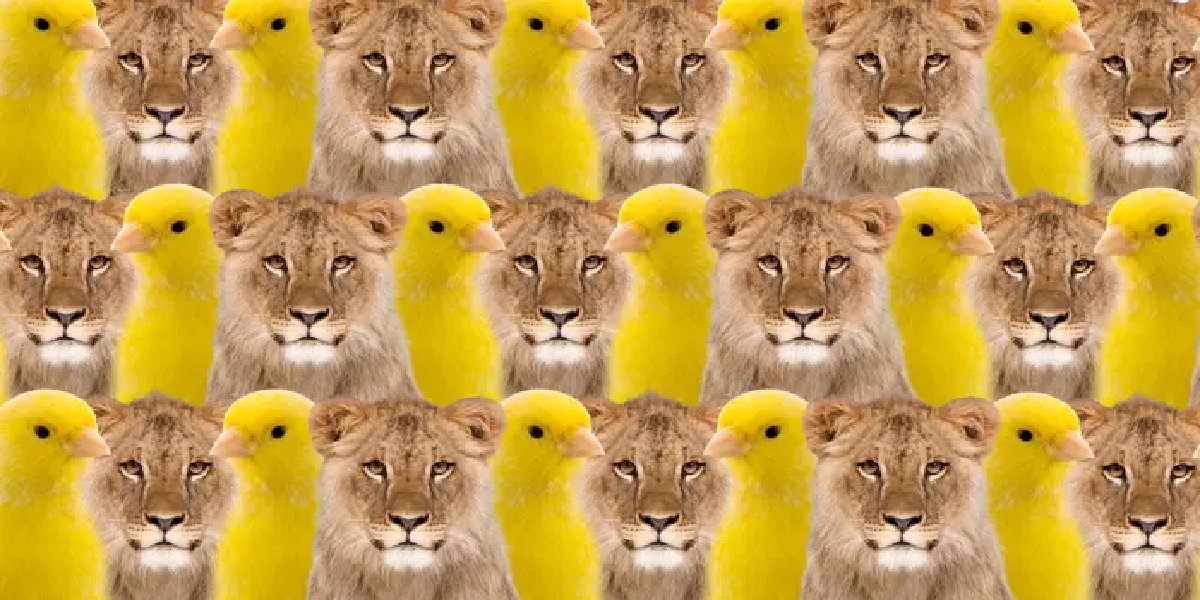 aslan-kanarya-test.jpg