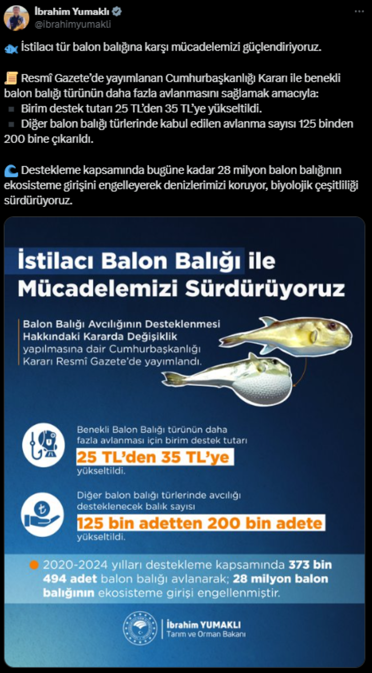 balon-baligi-avlayana-tesvik-2.png