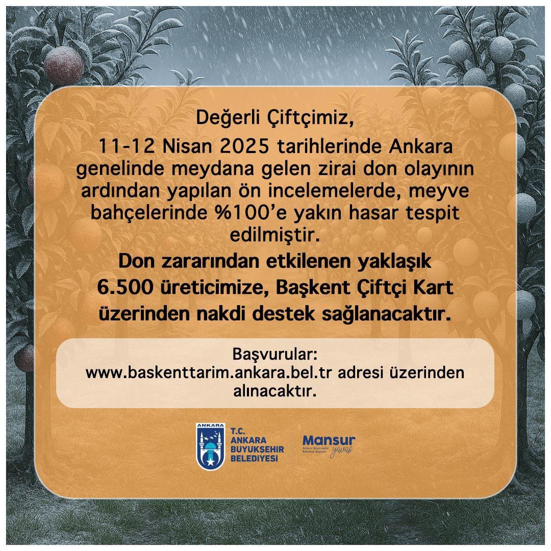 whatsapp-image-2025-05-24-at-09-03-29.jpeg